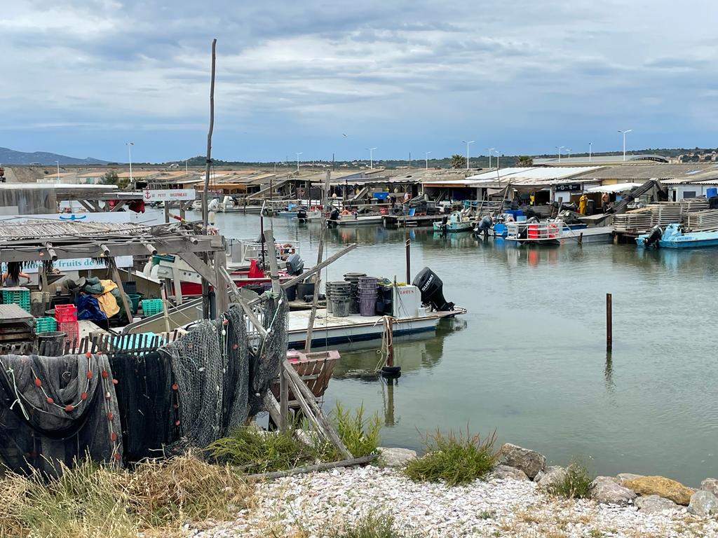 Fishing and mussel port / Muschelhafen / Centre d'ostreiculture